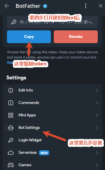 第四步:复制 API Token